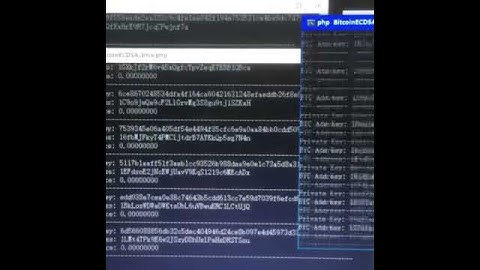 Hacking Bitcoin software by master（HACK BTC）