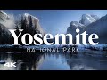 Experience the beauty of yosemite in the winter with 4k footage