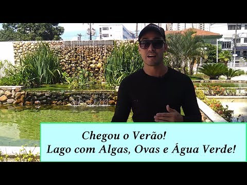 Vídeo: Por Que A água Dos Rios Fica Verde No Verão?