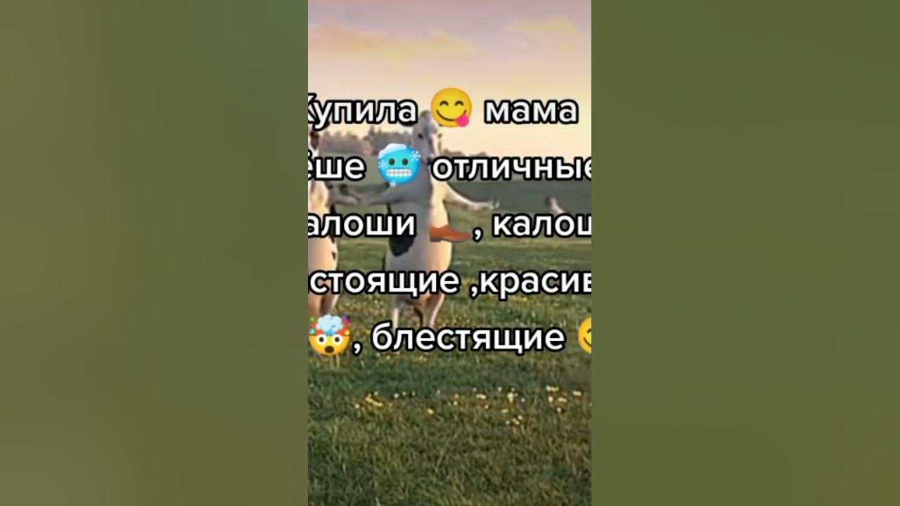 Купила мама леша галоши песня