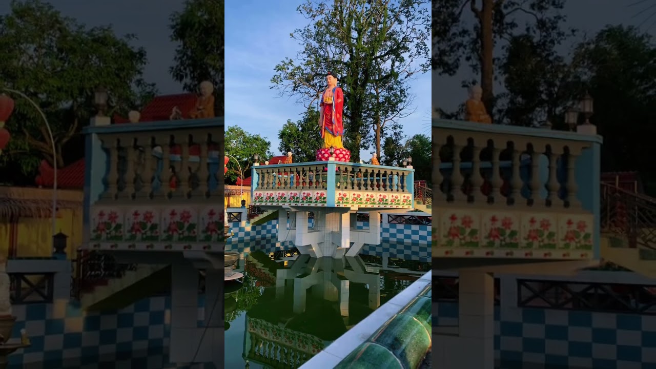 Hoa có thời, người có vận