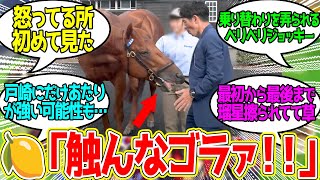 【悲報?】戸崎、レモンポップと和解失敗…に対するみんなの反応!【競馬 の反応集】