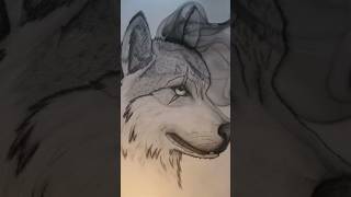 Art of the Pencil draw pic of the scar 🐺 Wolf#art#drowing#artwork#scarwolf