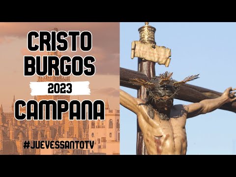 Pontificia, Real, Ilustre y Fervorosa Hermandad del Santísimo Cristo de Burgos, Negaciones y Lágrimas de San Pedro y Madre de Dios de la Palma