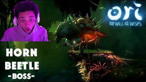 ORI AND THE WILL OF THE WISPS || EP 3 BIG BUG!