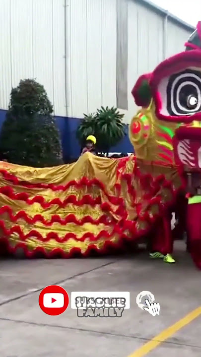 #shorts | Ada barongsai raksasa - Hadlie family
