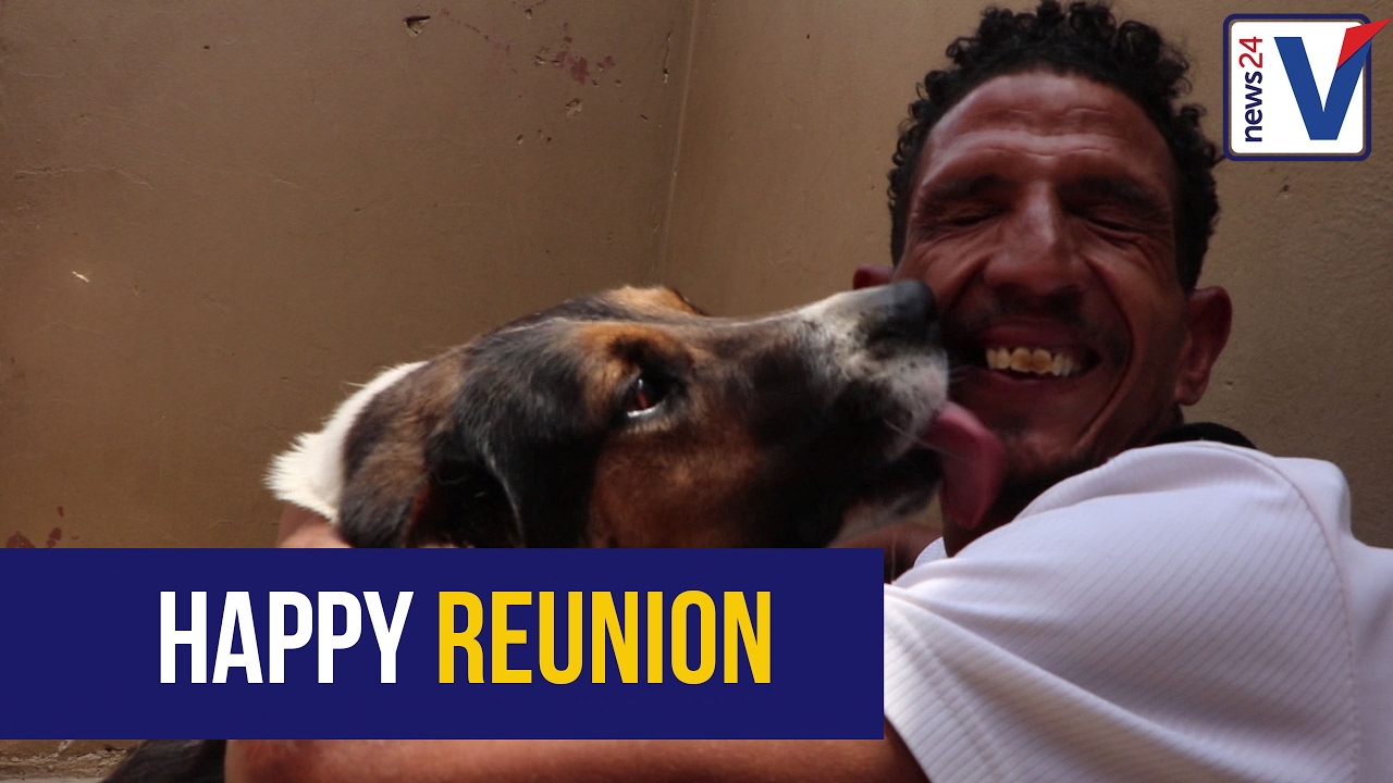 WATCH: Homeless man reunited with his dogs - YouTube