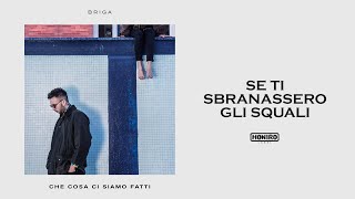 Video thumbnail of "BRIGA - 01 - SE TI SBRANASSERO GLI SQUALI"