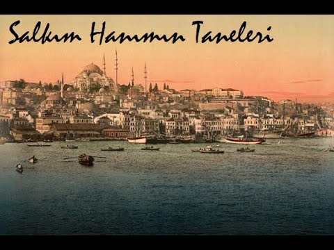 Salkım Hanımın Taneleri - 1. Bölüm (2. Kısım)