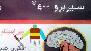 سيربرو 400 Cerebro