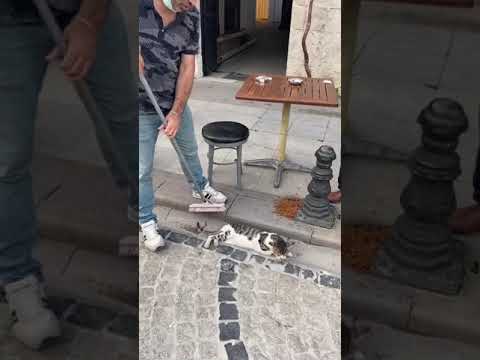 Türkiye`de olduğunu söylemeden