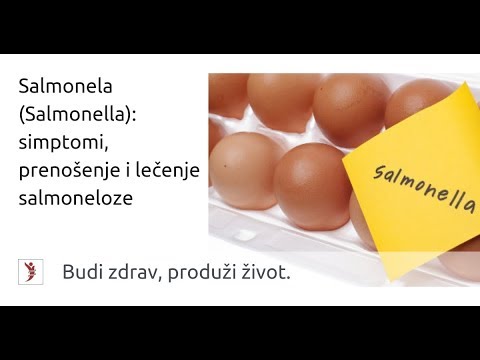 Salmonela (Salmonella): simptomi, prenošenje i lečenje salmoneloze