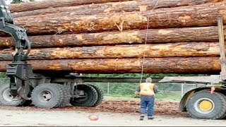 Operate logging trucks in dangerous forests, Big timber trucks  world's strongest load truck