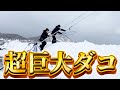 【漁港大騒然】とんでもない化け物が水中映像に！！　再放送