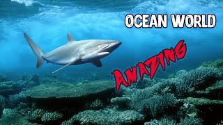 OCEAN WORLD | AMAZING UNDERWATER LIFE | ПОДВОДНЫЙ МИР | АКУЛА | SHARK