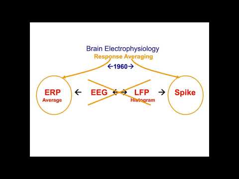 EEGLAB परिचय #2: EEG संकेतको उत्पत्ति