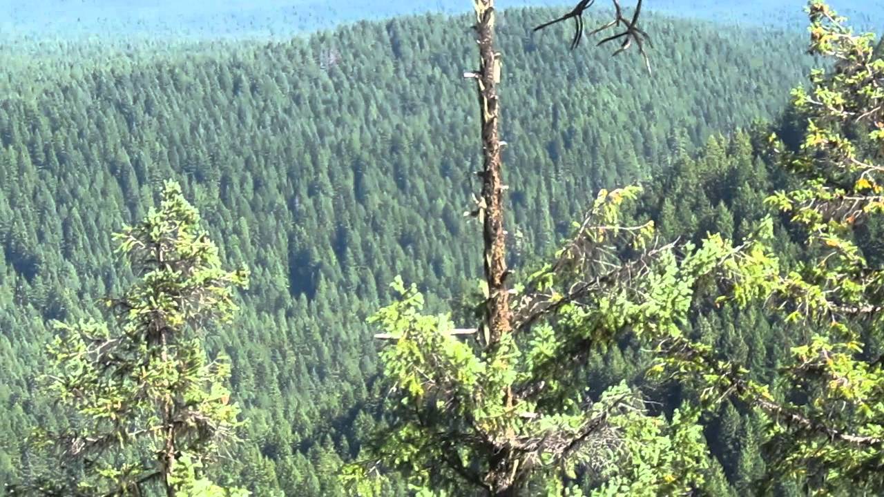 50th Anniversary Of The Wilderness Act YouTube