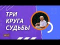 Три круга судьбы. 2023г