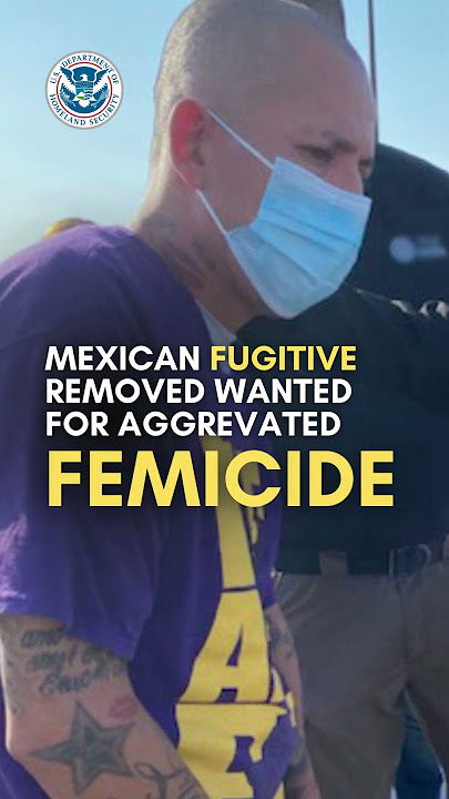 NEWS NOW | 30 year sentence for gang murder—Mexican fugitive removed—7 sex crime convicts arrested