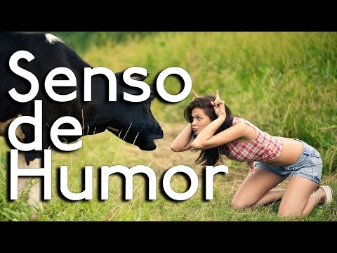 Vídeo: Como Aprender O Senso De Humor