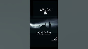 ( أَفَلا يَنْظُرُونَ إِلَى الإِبِلِ كَيْفَ خُلِقَتْ ) #تجويد #تلاوة_خاشعة #تلاوة #تلاوة_مميزة #quran