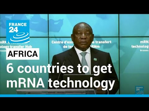 African countries to get mRNA vaccine technology in WHO project • FRANCE 24 English