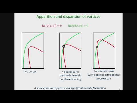 Berezinskii-Kosterlitz-Thouless physics and Bose Einstein Condensates III