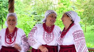 картинка: 