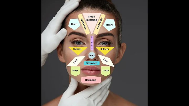 TCM FACIAL DIAGNOSIS 01: How to Read the Face for Physical & Emotional Well-being - DayDayNews