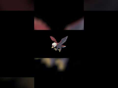   5        624 635   5 