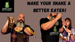 Celebrity Snake Doesn't Eat Well? Here's ONE really good tip! Net Worth