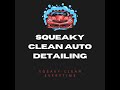 Squeaky Clean Auto Detailing (Part 4)
