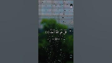 سورة الاخلاص  - مشاري بن راشد العفاسي