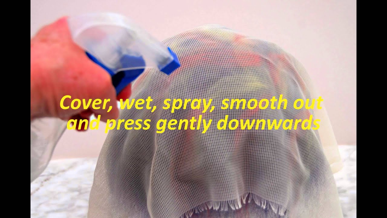 Bird Pod for youtube