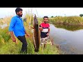 OMG!🤩 Murrel Fishing | Big TILAPIA Fishing |  Giant PRAWNS🦐 Fishing in Unexpected SMALL Pond 🐟