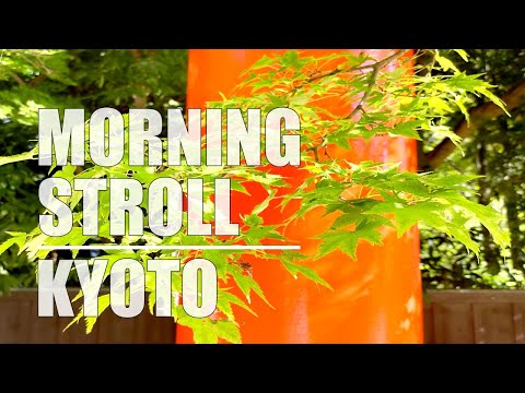 夏の京都 早朝の下鴨神社を参拝  静寂の時間 Morning stroll in Kyoto at Shimogamo Shrine (UNESCO World Heritage Site)