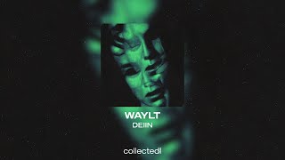 DEIIN - WAYLT