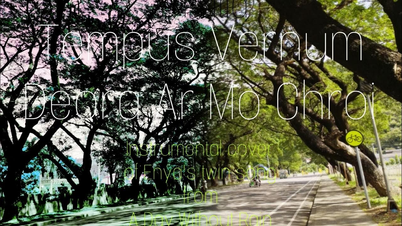 Enya - Tempus Vernum - Deora Ar Mo Chroi - Instrumental cover Enya - Tempus Vernum - Deora Ar Mo Chroi - Instrumental cover