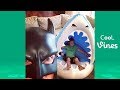 BatDad Beyond Vine compilation - Funny Bat Dad Instagram Videos 2018