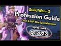 Guild Wars 2 - What profession (Class) should I play? [Up-to-date 2021] | ALL Elite Specializations