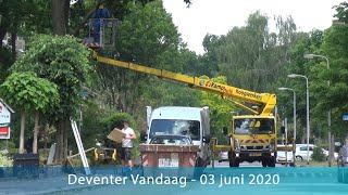 Deventer Vandaag - Groenbedrijf in de weer met Eikenprocessierups - 03 juni 2020