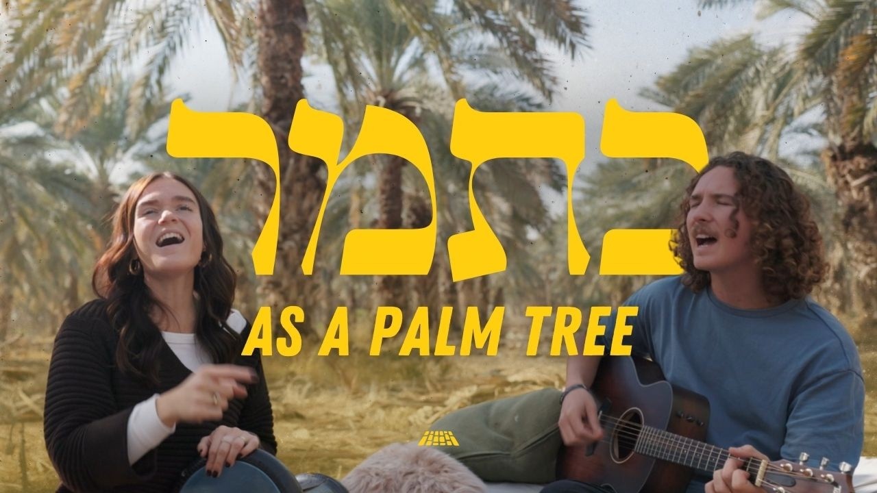 As a Palm Tree | Ka'tamar (Worship in the Judean Desert) @SOLU Israel