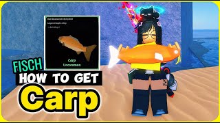How to Catch CARP in Fisch (Best Bait & Location)