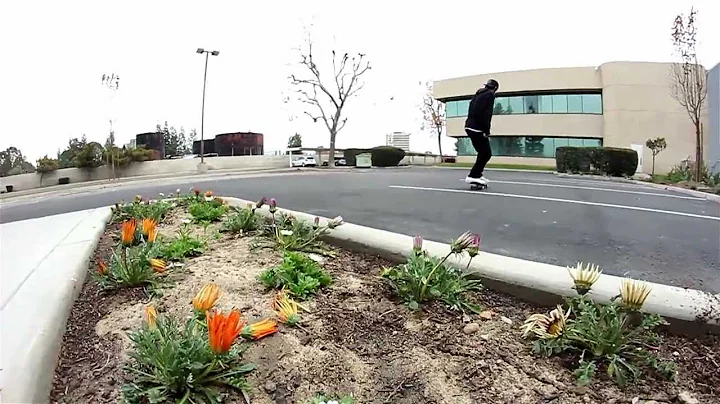 HAM MINUTE - Adam Estrada
