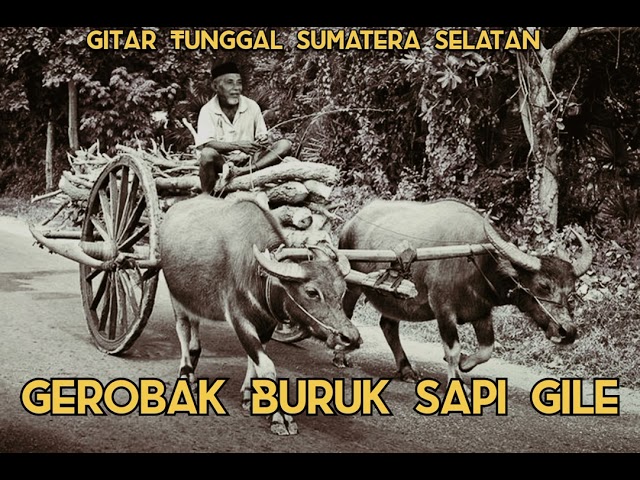 Gerobak Buruk Sapi Gile ( Versi Full) Versi Mang Ris, Gitar Tunggal Sumatera Selatan class=