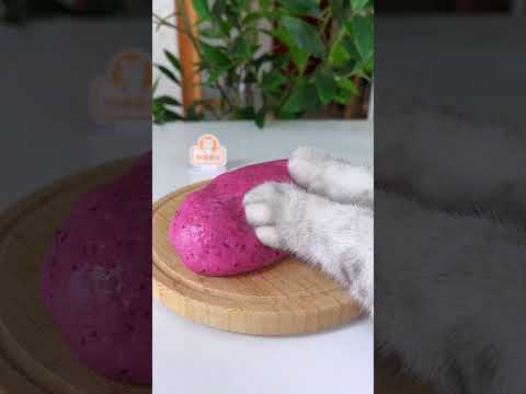 Cool Down With Fragrant Yangmei Ice Soup Balls! 🍨#chefcat #catsofyoutube #tiktok #Shorts