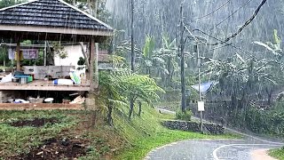 Very Heavy Rain & Lightning in My Village, Very Calm in the Mind | ASMR  Healing