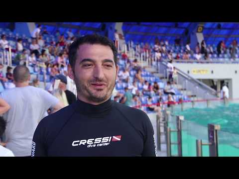 დელფინების შოუ შეზღუდვების ფონზე განახლდა