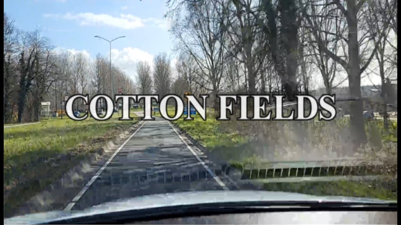 Cotton Fields Karaoke 4K YouTube