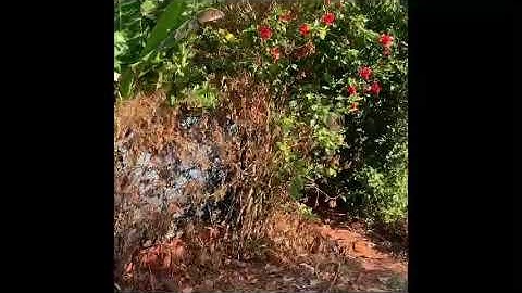 Bán đất giá rẻ vùng ven khu du lịch tỉnh: Bà Rịa-Vũng Tàu